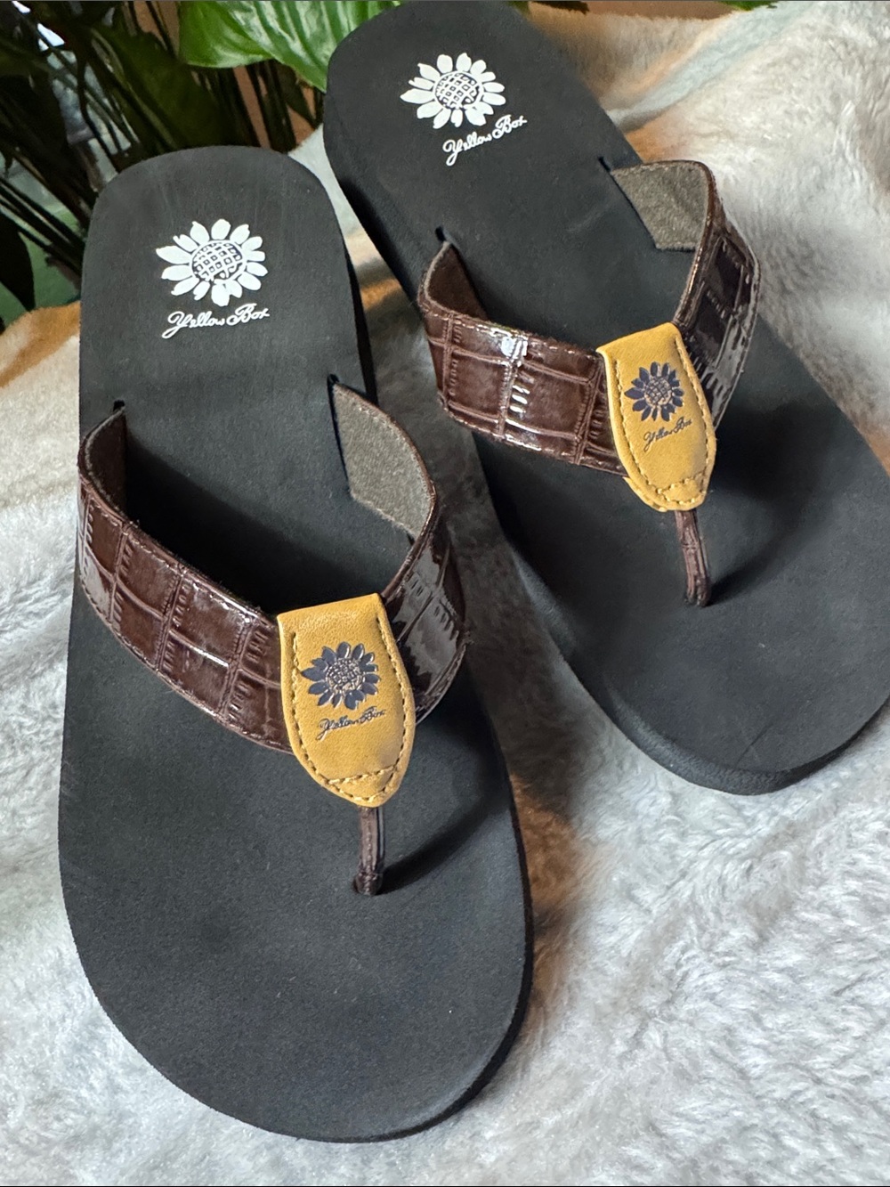 Yellow Box Black Footbed Flip Flops with Brown Croc-Strap Women's Size 8.5 - Picture 3 of 9